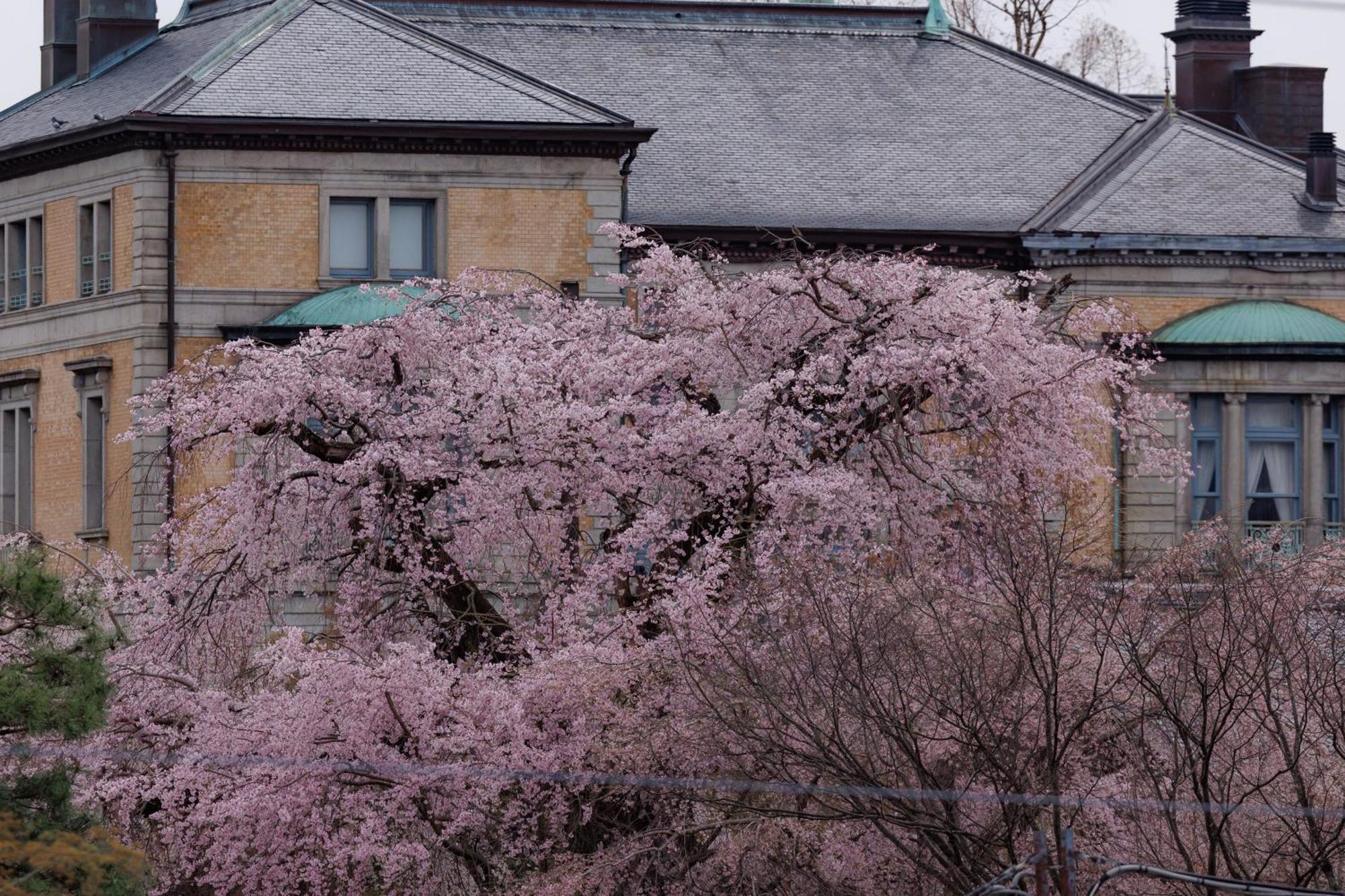 Hotel Chourakukan Kyoto Gion 長楽館 Exterior photo